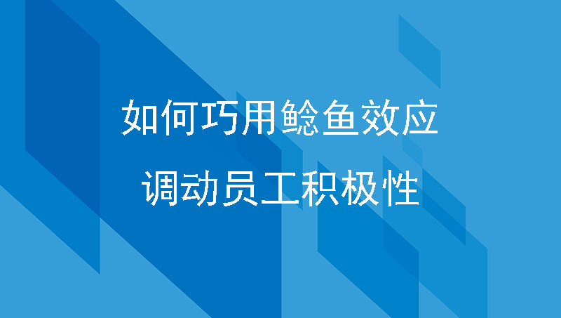 如何巧用鲶鱼效应，调动员工积极性？